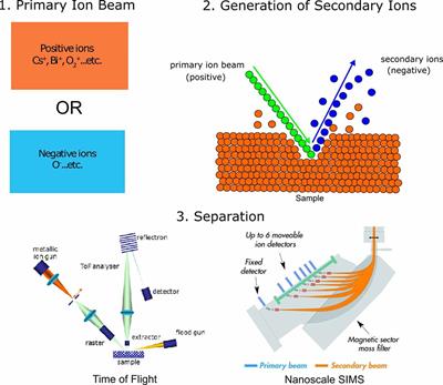 Novel Secondary Ion Mass Spectrometry Methods for the Examination of Metabolic Effects at the Cellular and Subcellular Levels